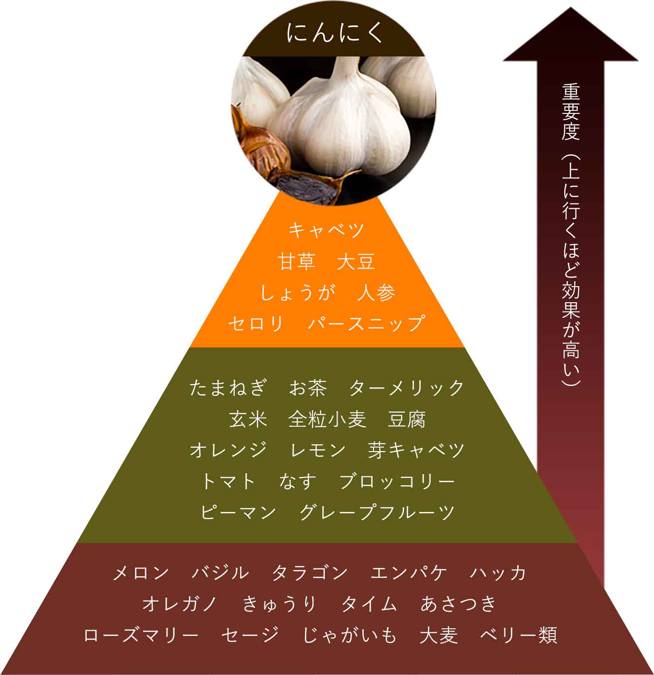 出る まで 黒 にんにく 効果