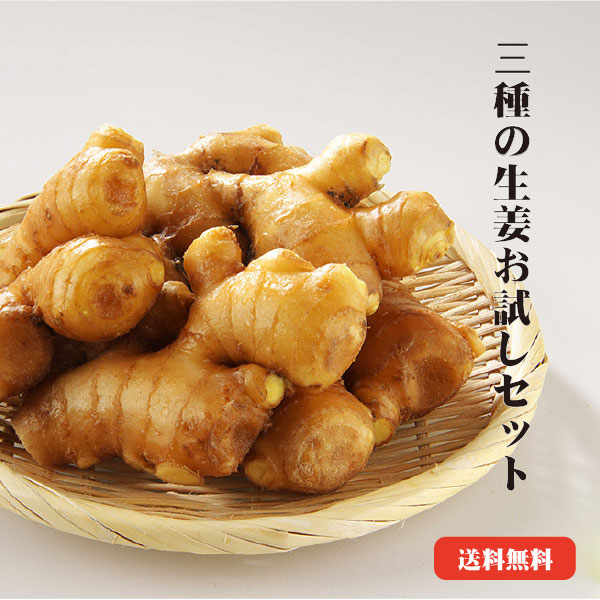 300円 【メール便無料】 セール 生姜 しょうがパウダー しょうが ジンジャーパウダー 粉末 100g×1袋 インド産 送料無料 メール便限定 300円 【メール便無料】 セール 生姜 しょうがパウダー しょうが ジンジャーパウダー 粉末 100g×1袋 インド産 送料無料 メール便限定