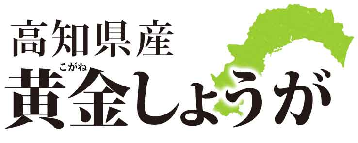 高知県産　黄金しょうが