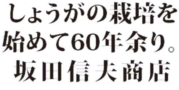 しょうがの栽培を始めて60年余り。