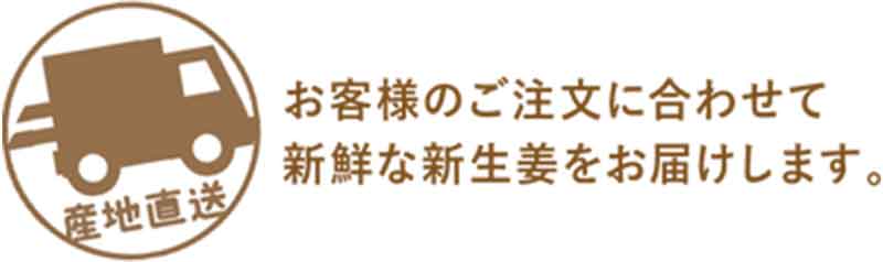 お客様の注文に合わせて新鮮な新生姜をお届けします
