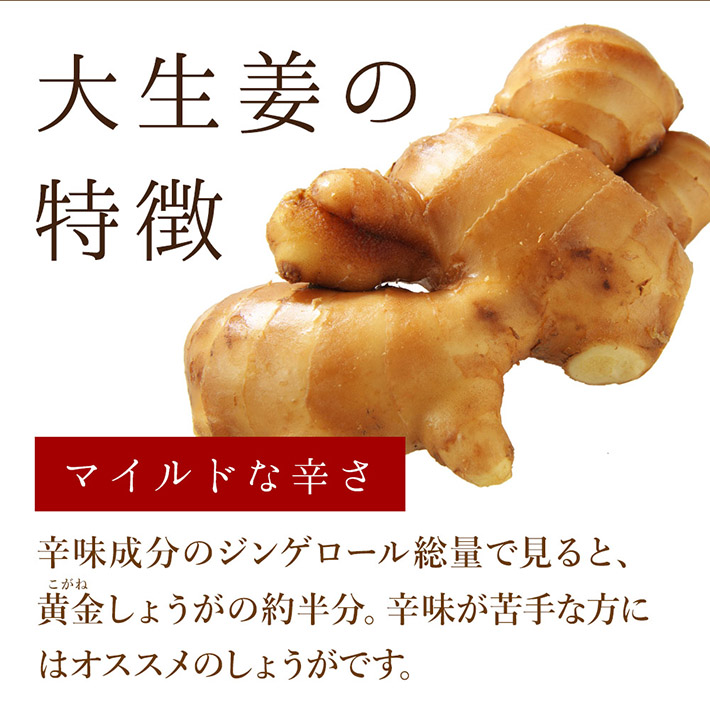 大生姜特徴