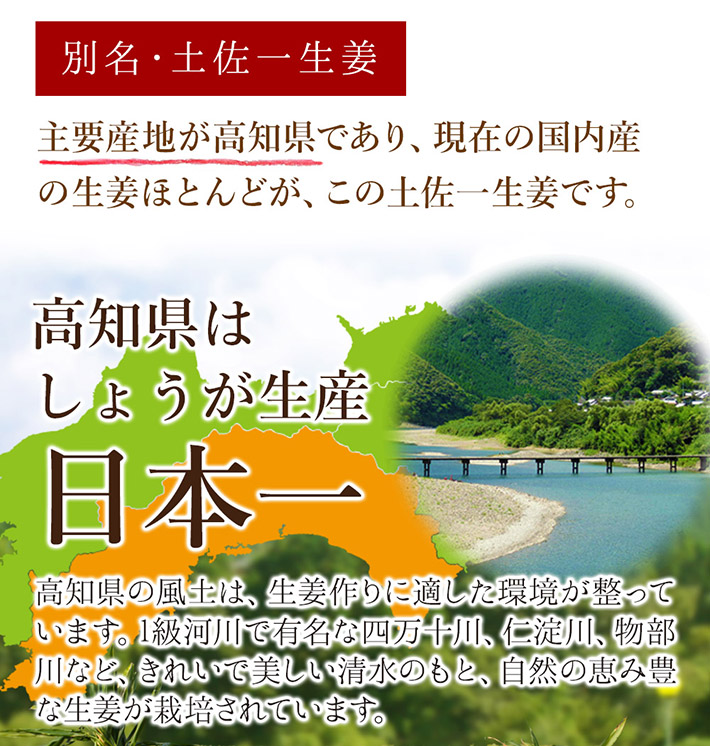 土佐一