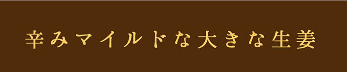辛味マイルドな大きな生姜