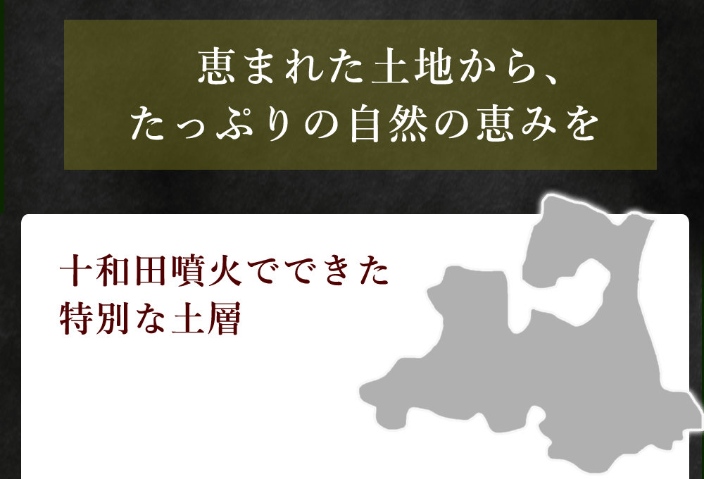 青森県産福地ホワイト