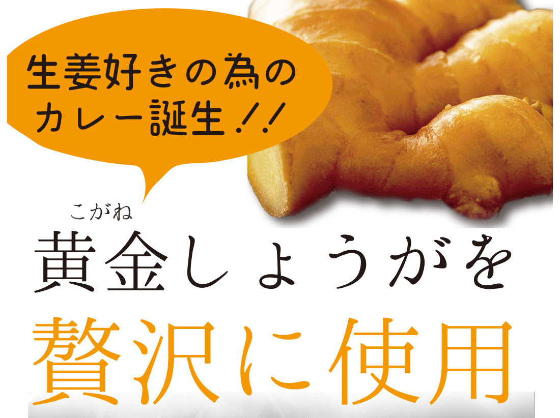 黄金生姜カレー