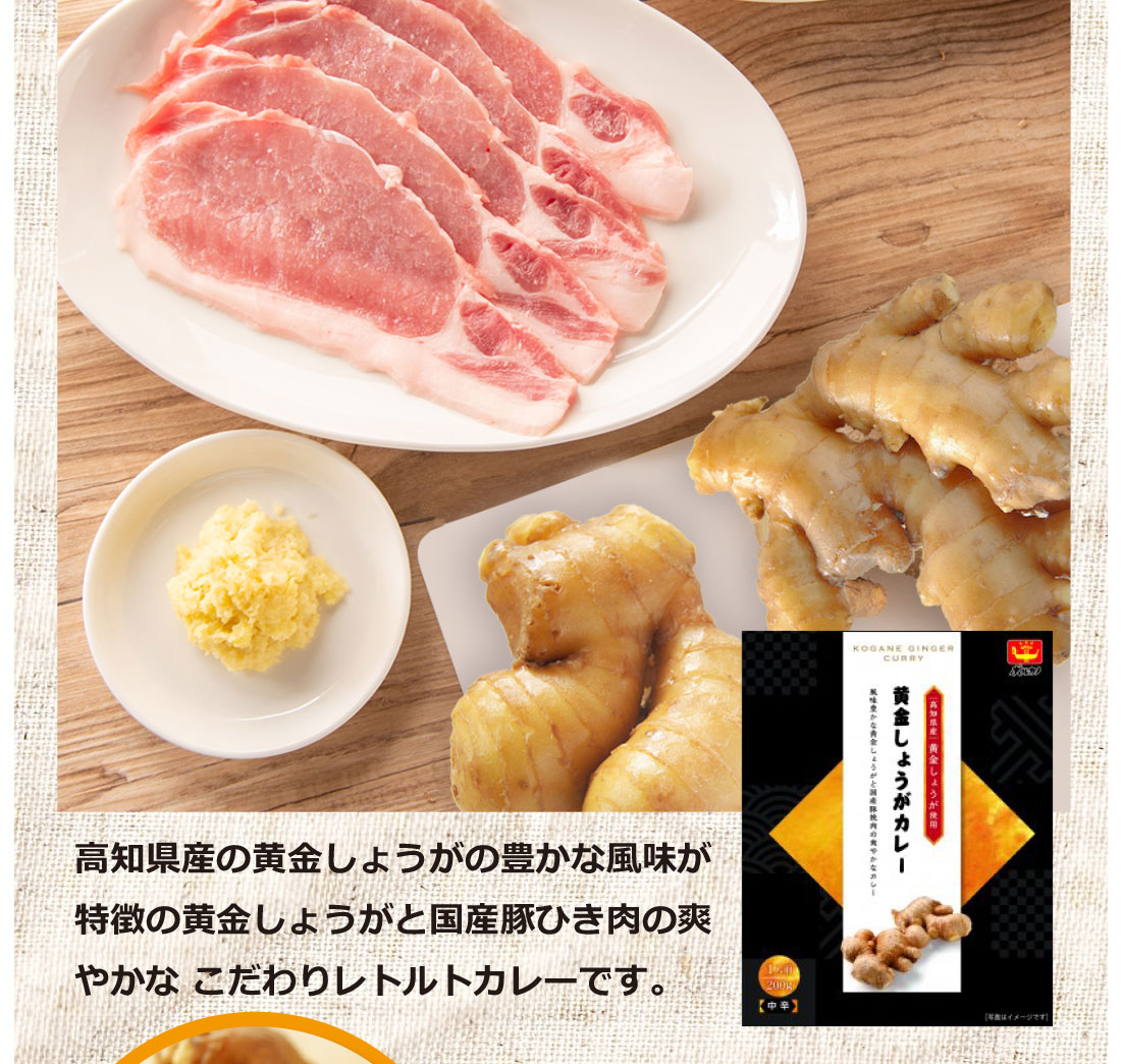 黄金生姜カレー