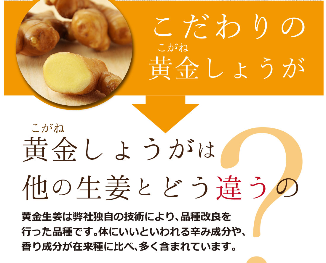 黄金生姜カレー