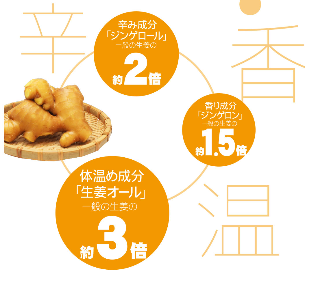 黄金生姜カレー