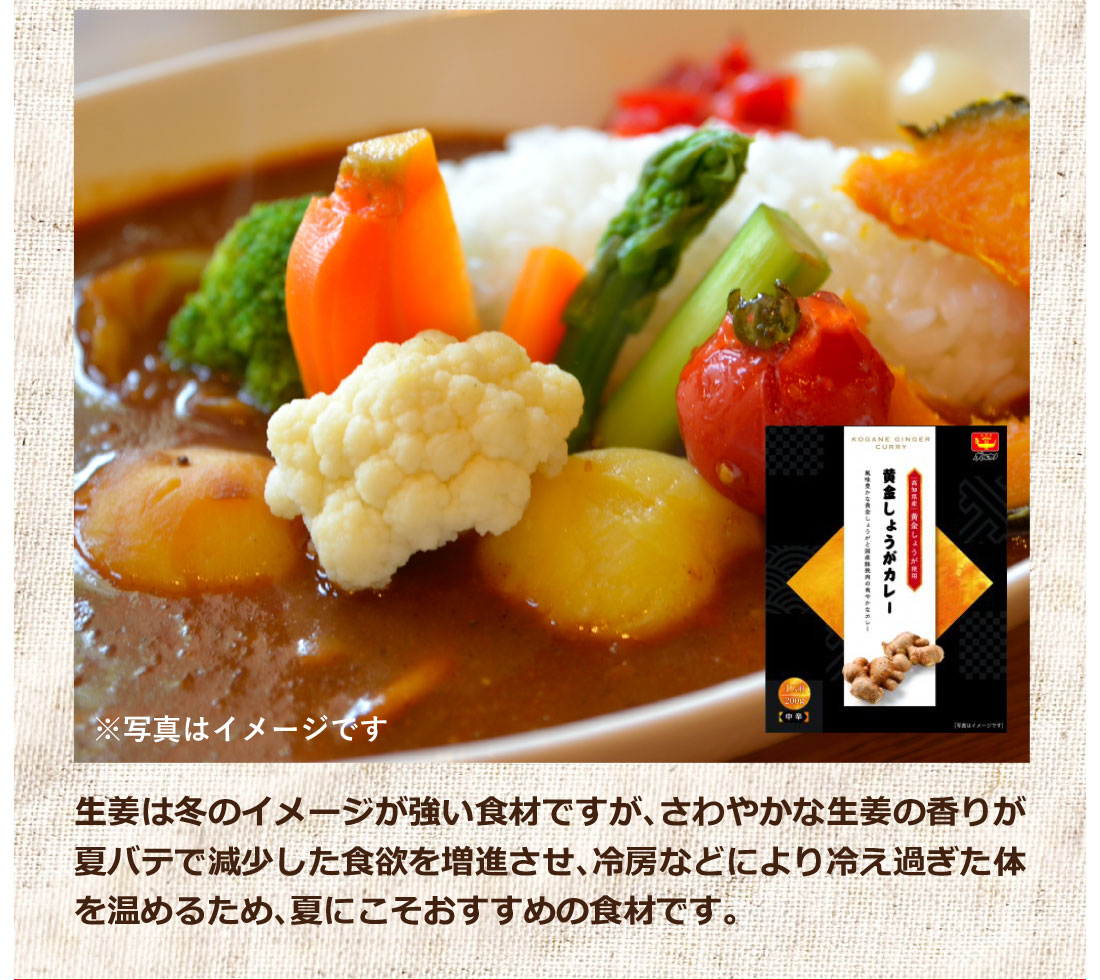 黄金生姜カレー