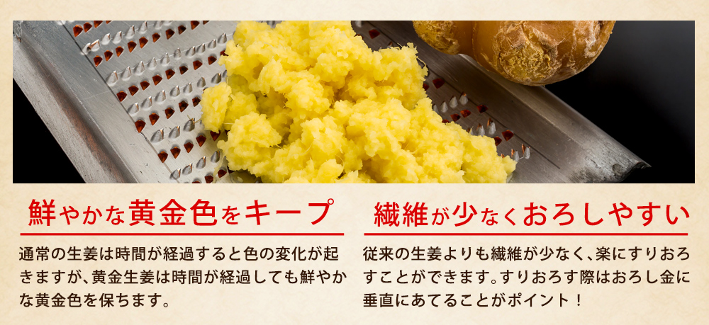 950円 ファッション通販 高知県産 生姜 パウダー 50g 黄金しょうが 乾燥 粉末