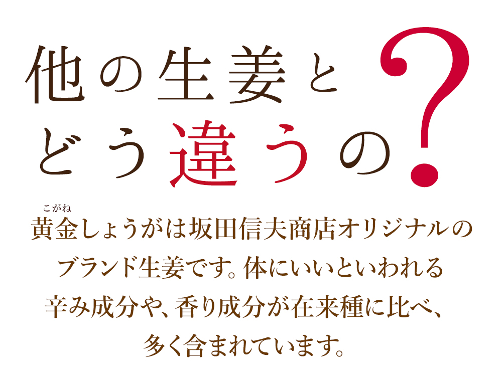 他のしょうがとの違い