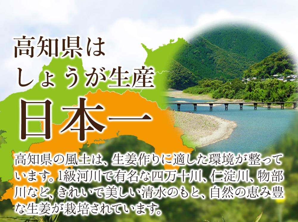 高知県はしょうが生産日本一