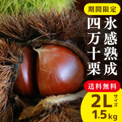 栗10キロ　送料無料 楽天市場】【2025年産】天津甘栗 約 1 ～10kg 甘栗 甘ぐり 栗 くり 新