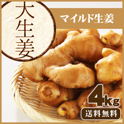 大しょうが4ｋｇ