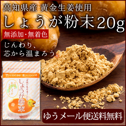 高知産黄金しょうが粉末20ｇ