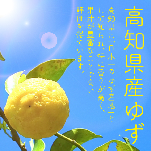 ゆずドリンク200ml×12【送料無料】