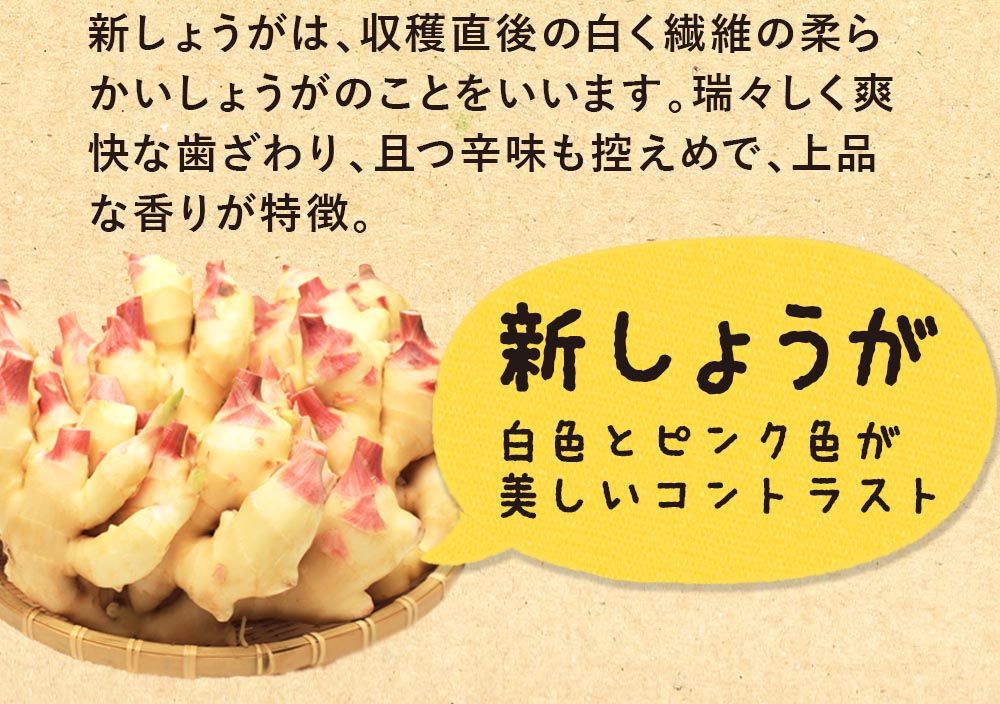 新生姜