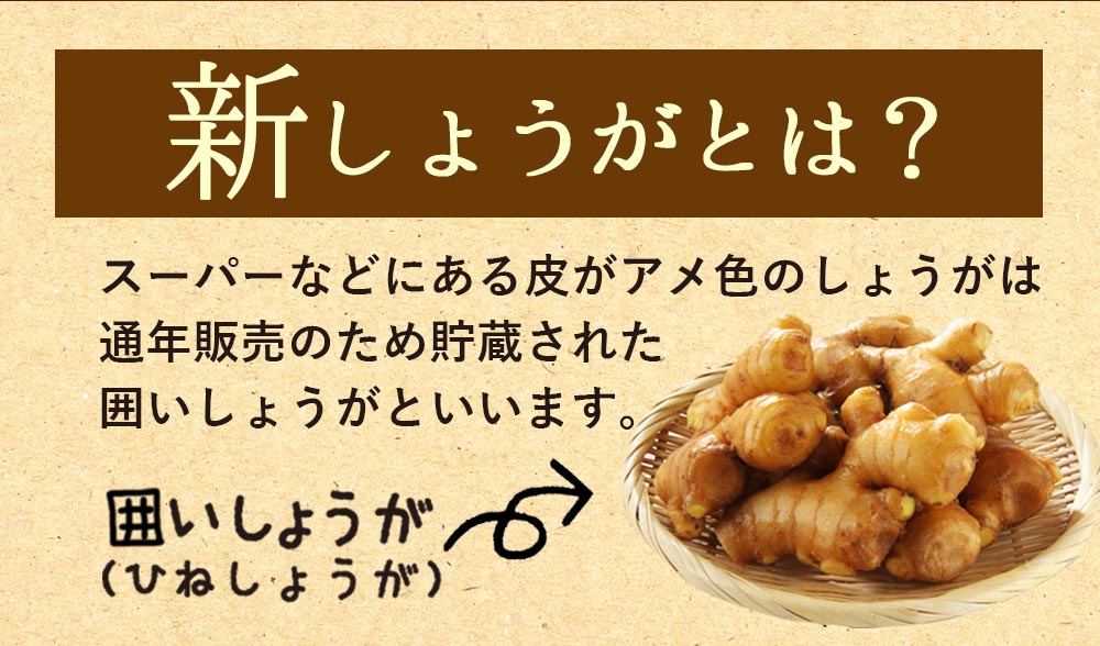 新生姜