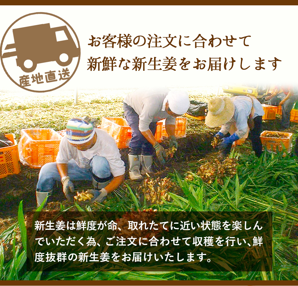 新生姜