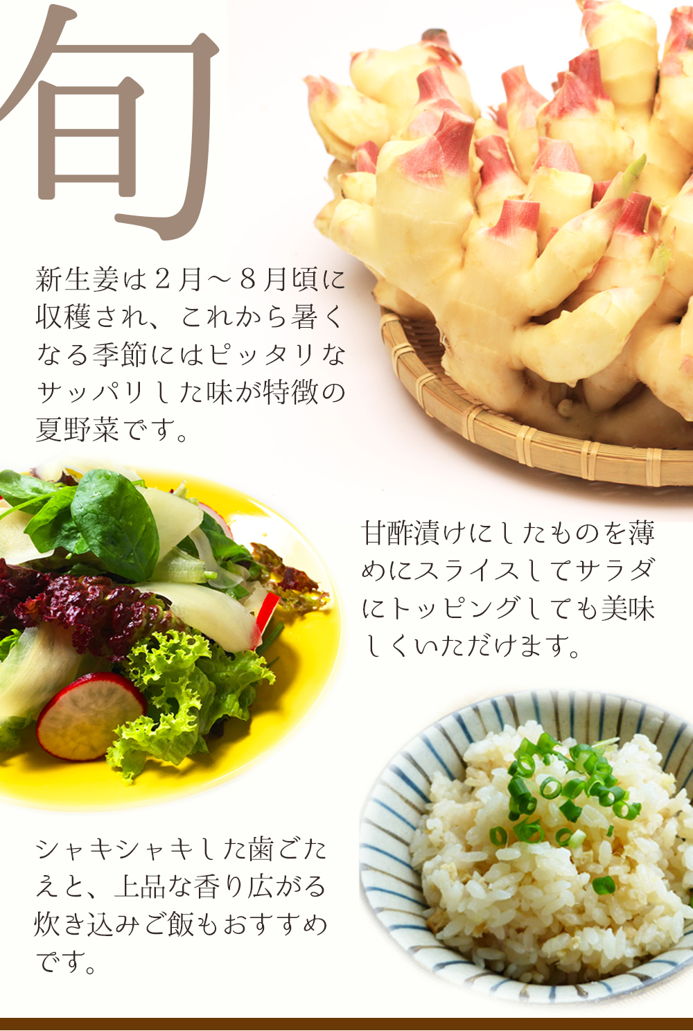 新生姜