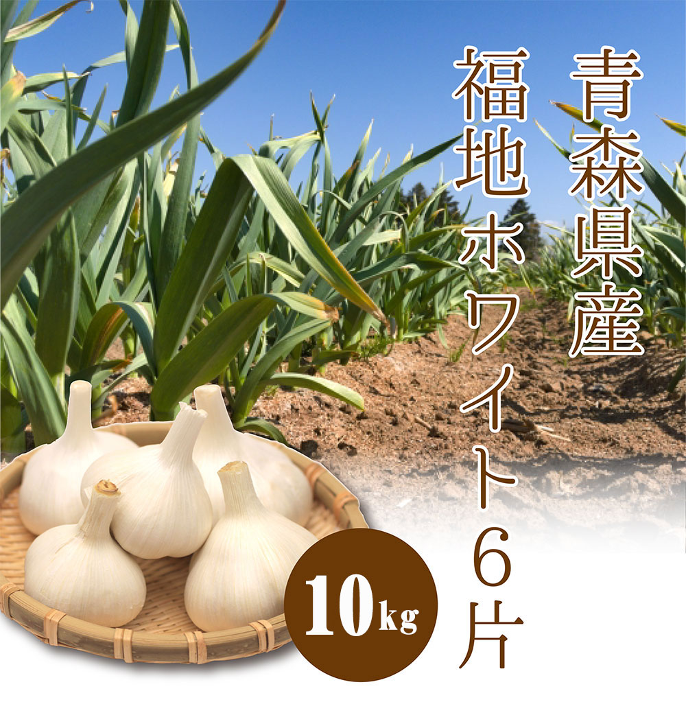 青森県産の大粒にんにく。青森の厳しい環境で栽培されたにんにくは糖度も高い。