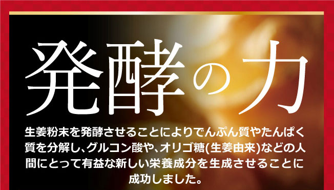 プレミアムジンジャー　黄金しょうが粉末