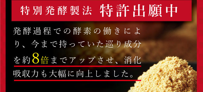 プレミアムジンジャー　黄金しょうが粉末