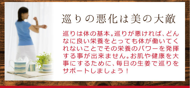 プレミアムジンジャー　黄金しょうが粉末