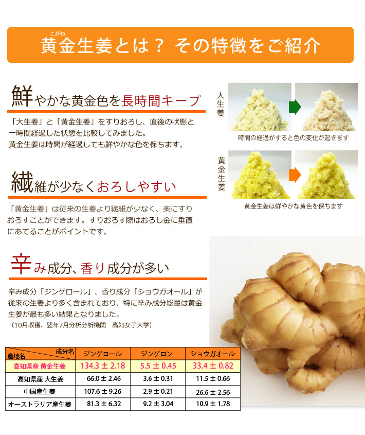 黄金しょうがとは？黄金生姜の３つの特徴