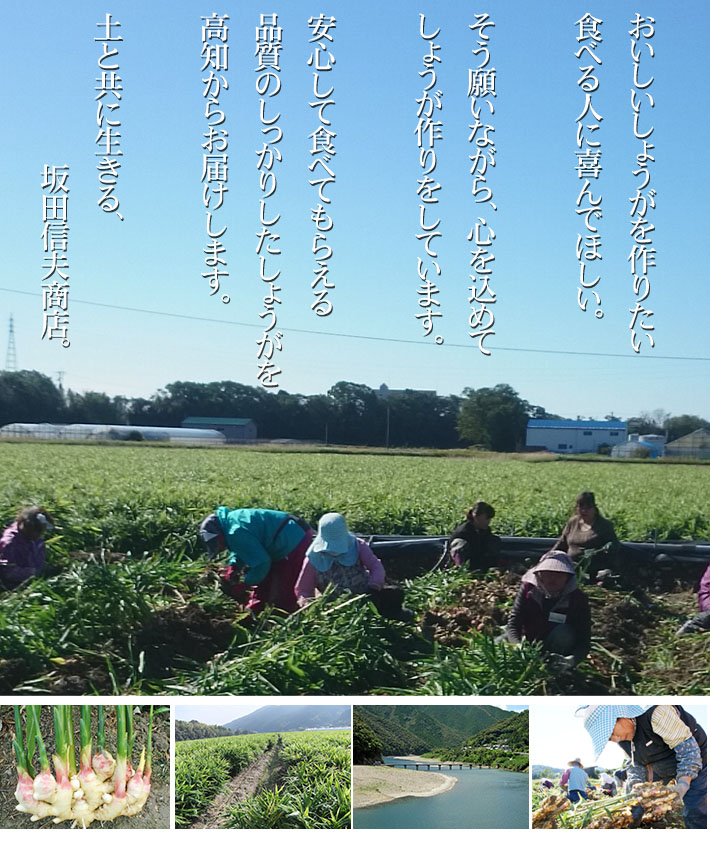 土と共に生きる　坂田信夫商店