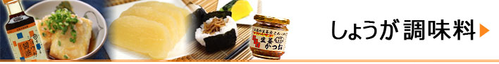 生姜調味料