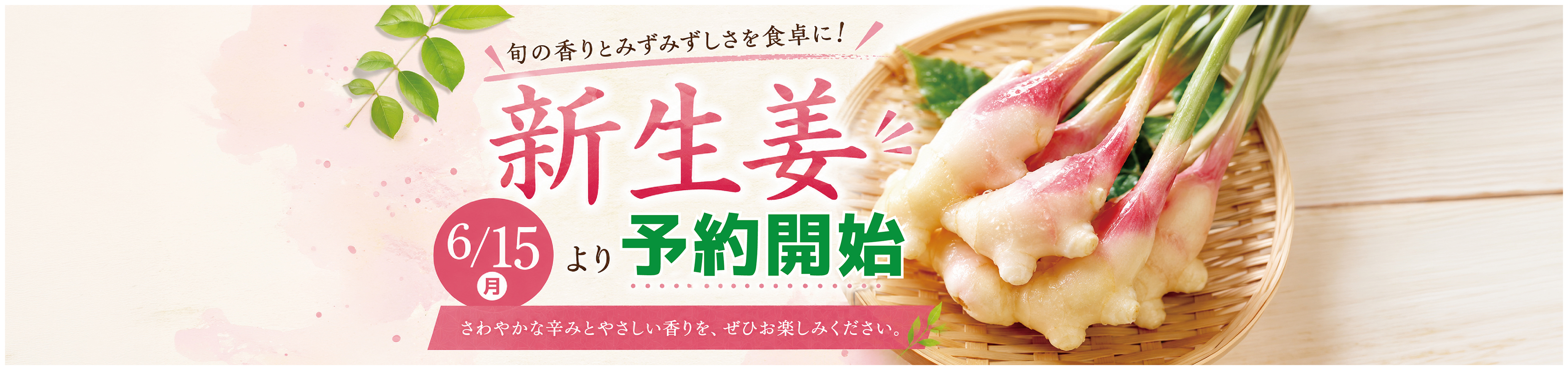セール