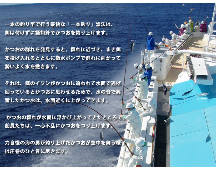 かつおの一本釣り