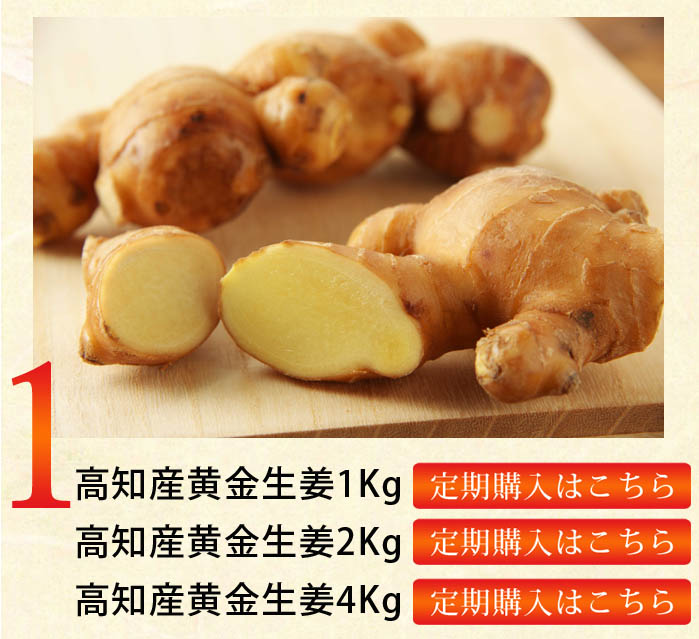 黄金生姜（こがねしょうが）　送料無料】高知県産　1kg